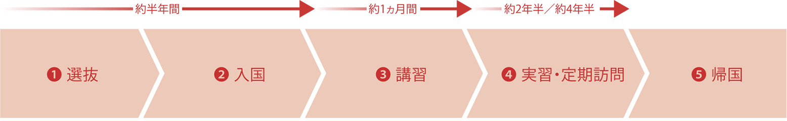 受入れの流れ